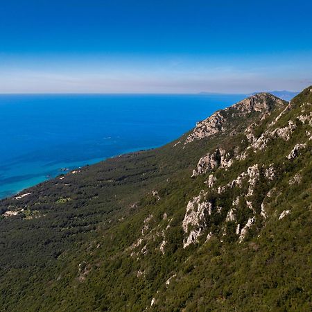 Artemis Prasoudi Beach Halikounas Luaran gambar